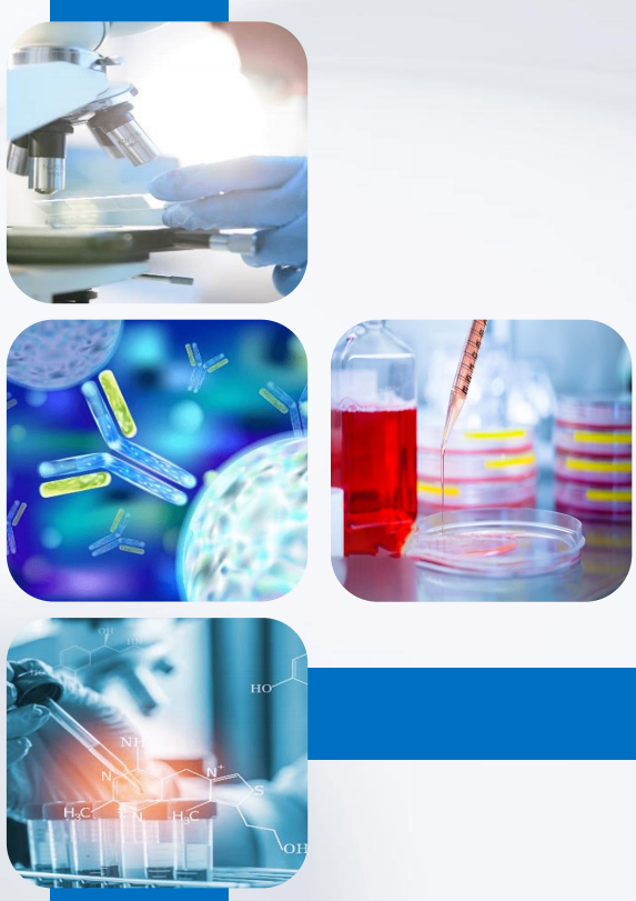 屏幕截图 2025 11 01 003135